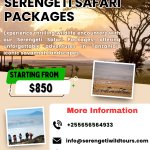 Serengeti Safari Packages
