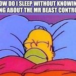 sleepyhead | HOW DO I SLEEP WITHOUT KNOWING ANYTHING ABOUT THE MR BEAST CONTROVERSY | image tagged in homer sleep,mr beast | made w/ Imgflip meme maker