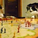 Two cats playing risk board game silly photo template