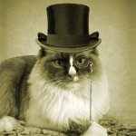 fancy cat  | image tagged in fancy cat | made w/ Imgflip meme maker