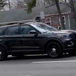 police car