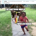 run bro | THE BAN FROM IMGFLIP; TWOELEKTRIK86 | image tagged in run | made w/ Imgflip meme maker