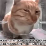 FACTS | ME LOOKING AT THAT ONE FRIEND AFTER HE TELLS THE MOST HORRENDOUS JOKE "THE TEACHER IS BEHIND HIM" | image tagged in gifs,cat | made w/ Imgflip video-to-gif maker