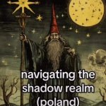 Navigating the shadow realm meme