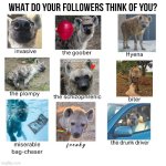 Hyena Frenzy meme