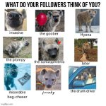 what do your followers think of you meme