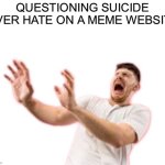 Questioning sewer slide over a meme website meme