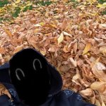 Murderous Fall Edition | borger | image tagged in murderous fall edition | made w/ Imgflip meme maker