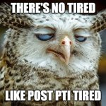 Post Parent Teacher Interview | THERE'S NO TIRED; LIKE POST PTI TIRED | image tagged in owl tired bored,teacher,parent,interview,tired,exhausted | made w/ Imgflip meme maker