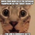 cat | WHEN YOUR MOM SELLS THE EXPENSIVE TRAMPOLINE BC YOU "AREN'T USING IT"; (THE LOW IS CURRENTLY 342°C) | image tagged in flabbergasted cat | made w/ Imgflip meme maker