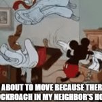 I don't like bugs. | ME ABOUT TO MOVE BECAUSE THERE'S A COCKROACH IN MY NEIGHBOR'S HOUSE | image tagged in gifs,bugs | made w/ Imgflip video-to-gif maker