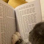 reading cat