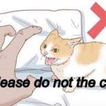Please do not the cat