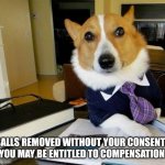 Lawyer Dog | BALLS REMOVED WITHOUT YOUR CONSENT? YOU MAY BE ENTITLED TO COMPENSATION | image tagged in lawyer dog | made w/ Imgflip meme maker