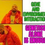 Gene–Environment Interactions | GENE
AND
ENVIRONMENT
INTERACTION; GENETICS ALONE IS ENOUGH | image tagged in drake yes no reverse,dna,genetics,environment,humanity,humans | made w/ Imgflip meme maker