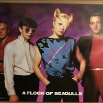 Flock of Seagulls