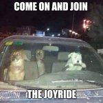 Join the joyride | COME ON AND JOIN; THE JOYRIDE | image tagged in joyride,funny memes | made w/ Imgflip meme maker