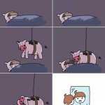 cow licking hair