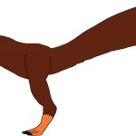 Female Sinosauropteryx (Paleoverse + EOIverse)