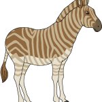 Male Quagga (Paleoverse + EOIverse)