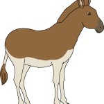 Female Quagga (Paleoverse + EOIverse)