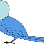 Male Spix's Macaw (Paleoverse + EOIverse)
