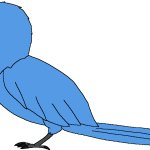 Female Spix's Macaw (Paleoverse + EOIverse)