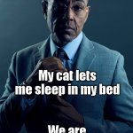 Gus Fring we are not the same | You let your cat sleep in your bed; My cat lets me sleep in my bed; We are not the same | image tagged in gus fring we are not the same | made w/ Imgflip meme maker