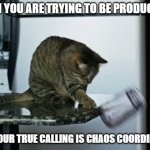 My cat everyday: | WHEN YOU ARE TRYING TO BE PRODUCTIVE:; BUT YOUR TRUE CALLING IS CHAOS COORDINATOR | image tagged in cat pushing thing off counter | made w/ Imgflip meme maker