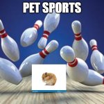 Pet sports | PET SPORTS | image tagged in bowling ball | made w/ Imgflip meme maker