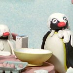 Pingu messy