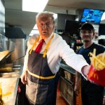 TRUMP FRIES