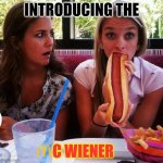 Imagine if  McDonald's sold hotdogs. | INTRODUCING THE; C WIENER | image tagged in hot dog,extra large,mc wiener | made w/ Imgflip meme maker