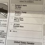 US Election Voting 2024 Trump Harris