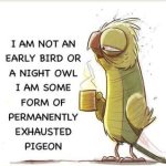 Permanently Exhausted Pigeon = Me. meme