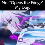 No matter if your dog is far away from you, he will come to you when you just open your Fridge. | Me: *Opens the Fridge*
My Dog: | image tagged in gifs,dogs,fridge | made w/ Imgflip video-to-gif maker