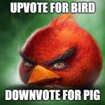 Realistic Red Angry Birds | UPVOTE FOR BIRD; DOWNVOTE FOR PIG | image tagged in realistic red angry birds | made w/ Imgflip meme maker