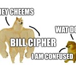 A silly cheems meme | HEY CHEEMS; WAT DOGE; BILL CIPHER; I AM CONFUSED | image tagged in doggo and cheems,cheems | made w/ Imgflip meme maker