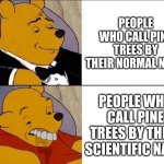 Tuxedo Winnie the Pooh grossed reverse | PEOPLE WHO CALL PINE TREES BY THEIR NORMAL NAME; PEOPLE WHO CALL PINE TREES BY THEIR SCIENTIFIC NAME | image tagged in tuxedo winnie the pooh grossed reverse | made w/ Imgflip meme maker