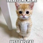 There is no meme | THERE IS NO MEME; JUST THIS CAT | image tagged in memes,cute cat | made w/ Imgflip meme maker