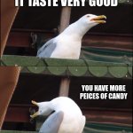 Inhaling Seagull | YOU EAT A PIECE OF CANDY; IT TASTE VERY GOOD; YOU HAVE MORE PEICES OF CANDY; YOU HAVE A SUGAR CRASH | image tagged in memes,inhaling seagull | made w/ Imgflip meme maker