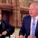 A View: Behar Hot for Walz. meme