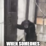 monkey | WHEN SOMEONES IN THE BATHROOM BUT YOU GOT TO POOP | image tagged in gifs,memes,funny,funny memes | made w/ Imgflip video-to-gif maker