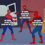 bro let me do the test | MY BRAIN WONDERING IF WE LIVE IN A SIMULATION; MY BRAIN TRYING TO FOCUS ON THE TEST; MY BRAIN CONTEMPLATING THE AFTERLIFE | image tagged in spider man triple | made w/ Imgflip meme maker