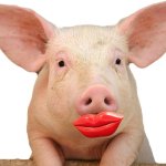 PIG IN LIPSTICK meme