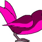 Glow Bird (Pink)