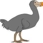 Male Dodo (Paleoverse + EOIverse)