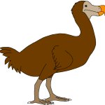 Female Dodo (Paleoverse + EOIverse)