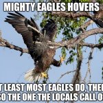 Eagle | MIGHTY EAGLES HOVERS; AT LEAST MOST EAGLES DO, THERE'S ALSO THE ONE THE LOCALS CALL OSCAR | image tagged in eagle | made w/ Imgflip meme maker