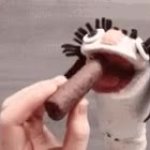 sock puppet eating log JPP GIF Template